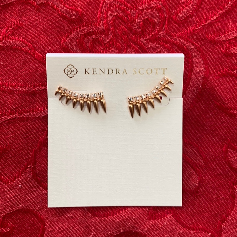 New earrings Kendra Scott